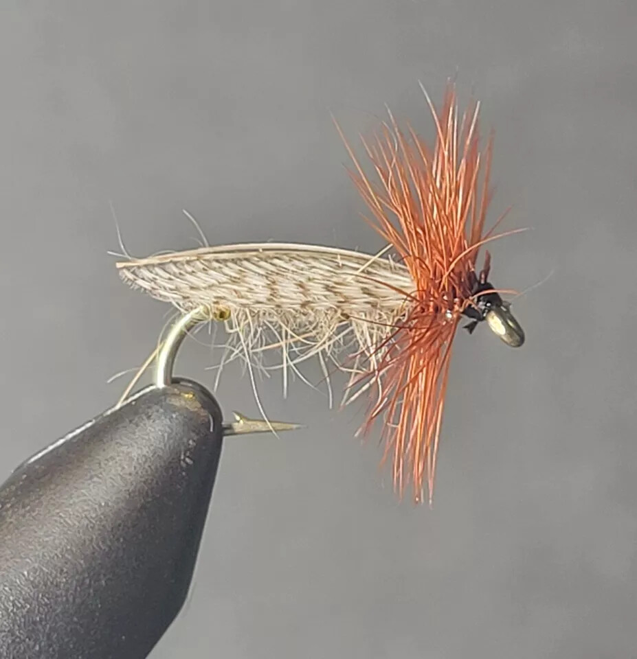 EUROPA CADDIS DRY Fly Fishing Fly Flies, 1 Fly, You Choose Size