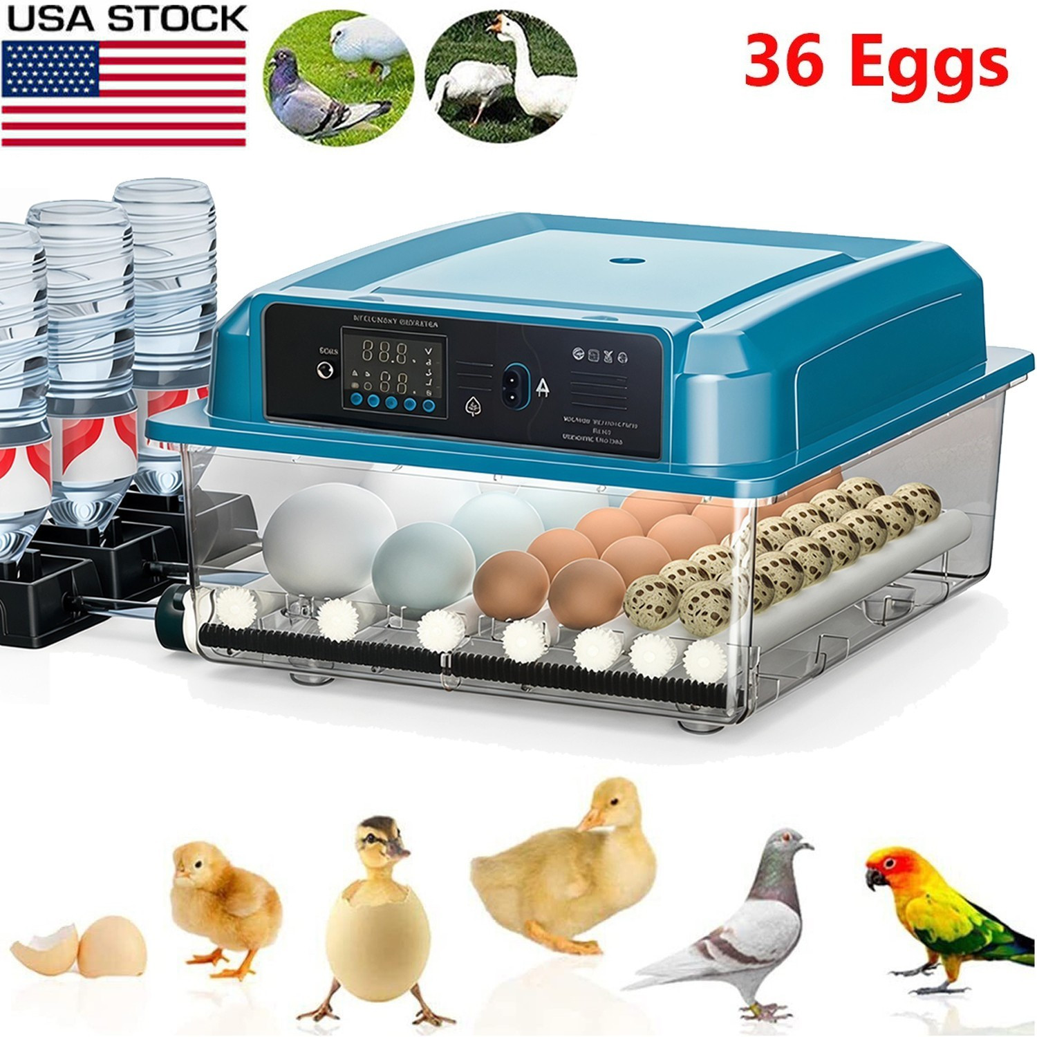 36 Eggs Digital Incubator Hatcher Temperature Control Fully Automatic Turning US