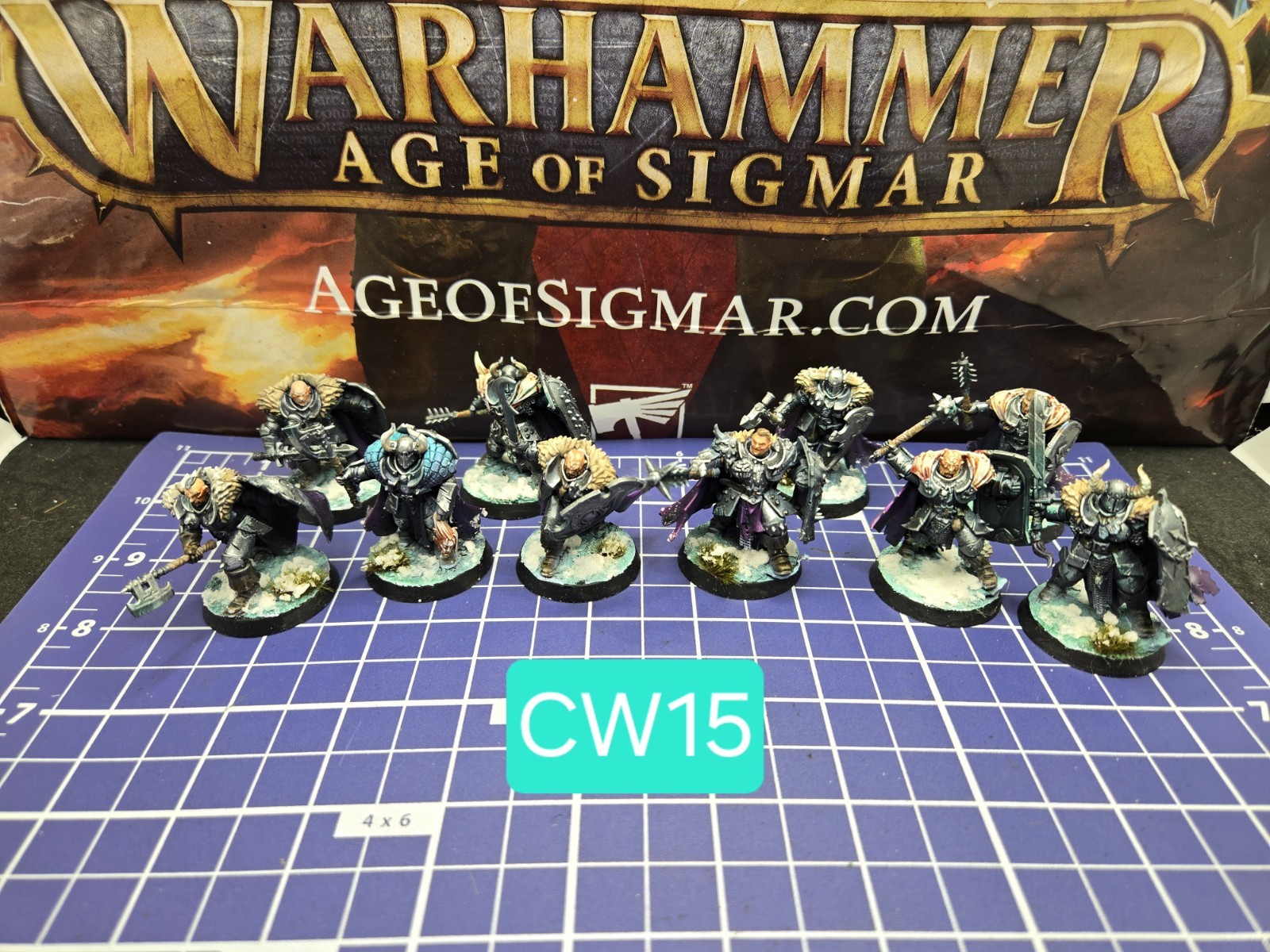 Age Of Sigmar Old World Chaos Warriors x10 Pro Painted  - Slaves To Darkness