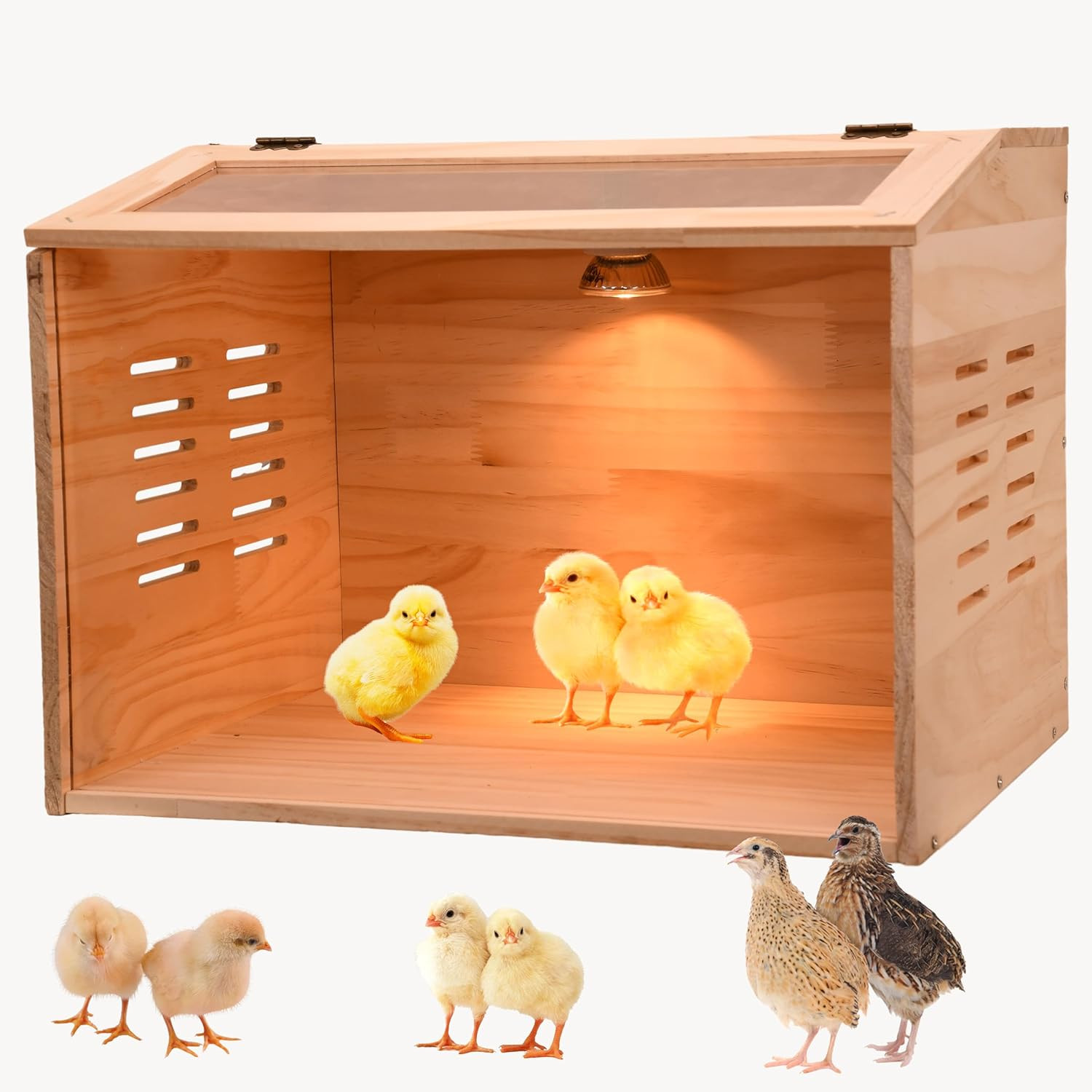 Chicken Brooder Box with Heater Baby Chicks Ducks Quail Wood Acrylic 110V
