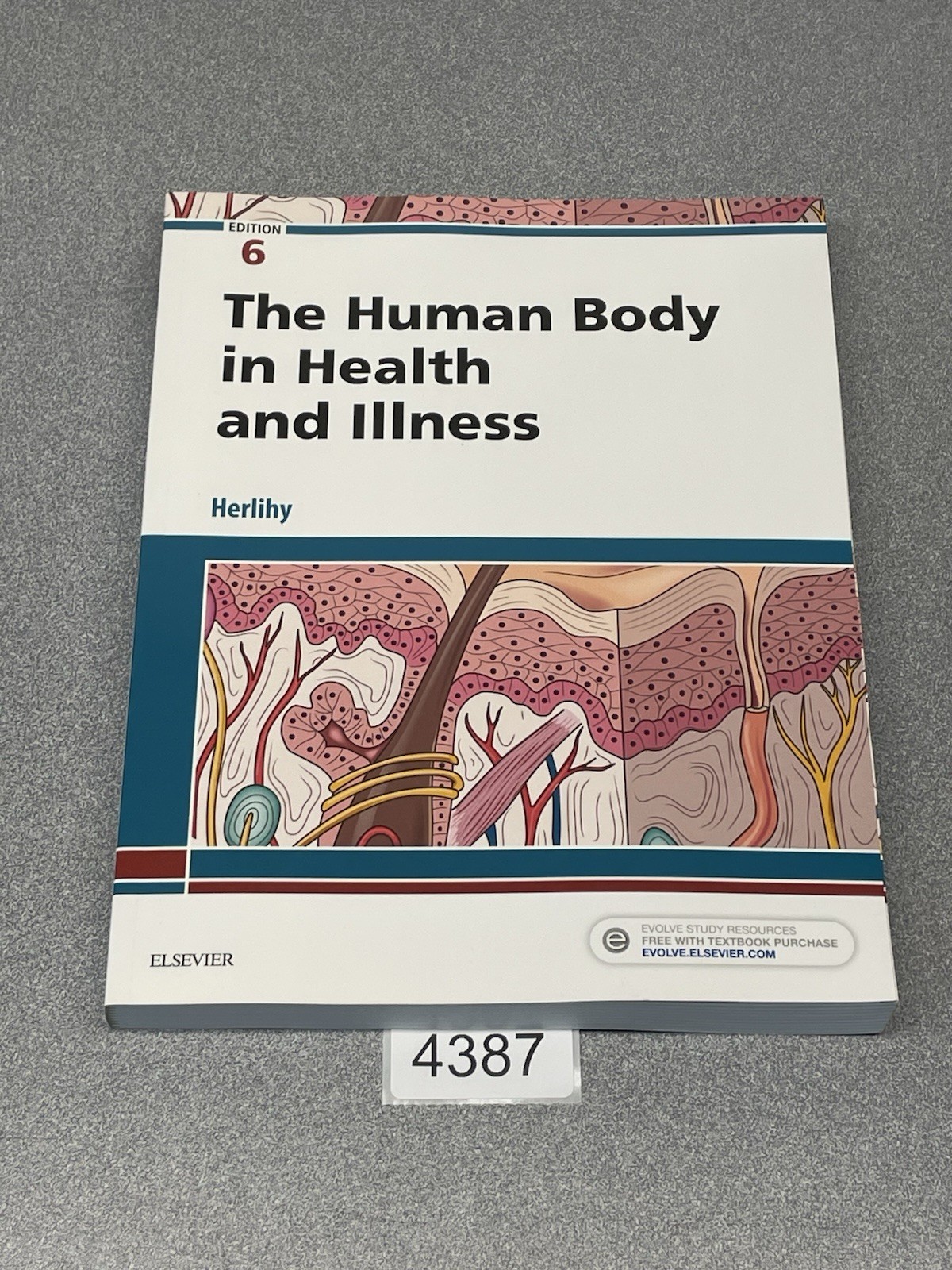 Human Body in Health and Illness Edition 6 New/Unused