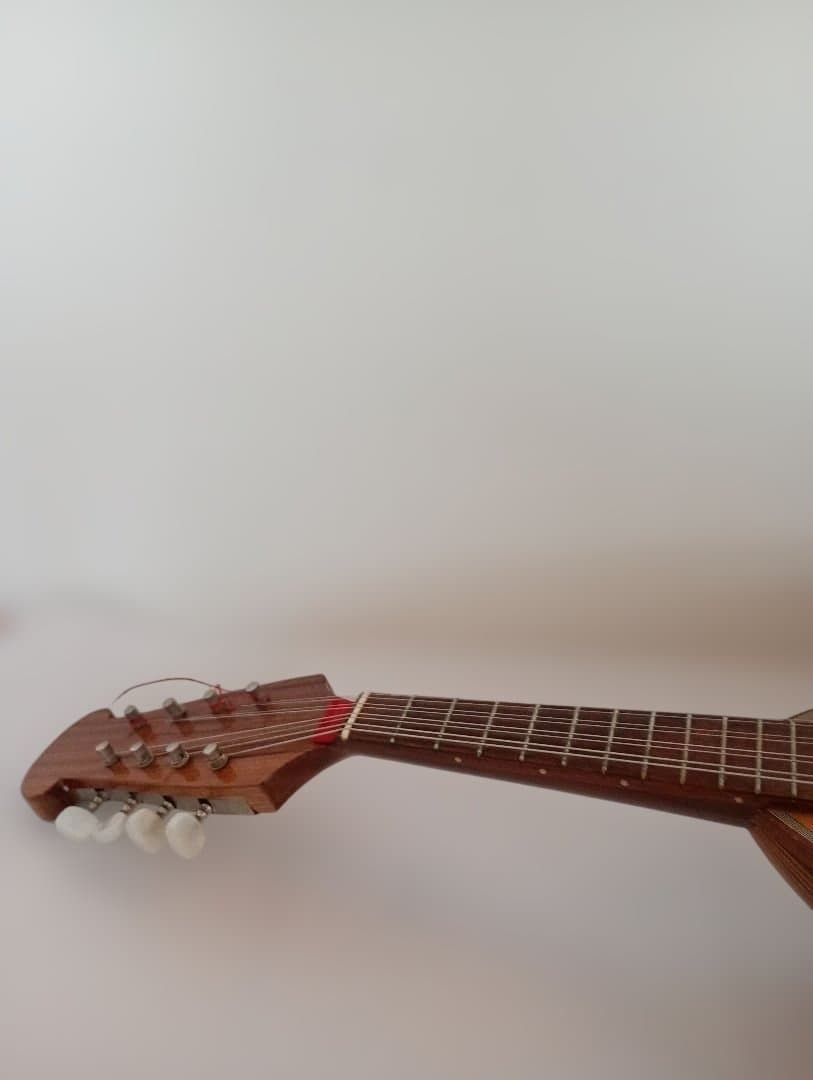 Calace Calace Mandolin Mandolin [No.24]