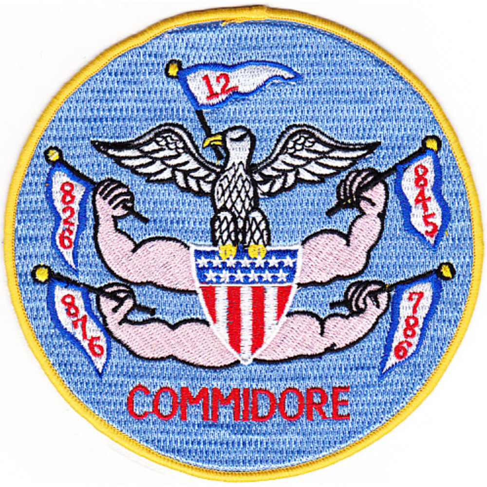Desron 12 Destroyer Squadron Patch