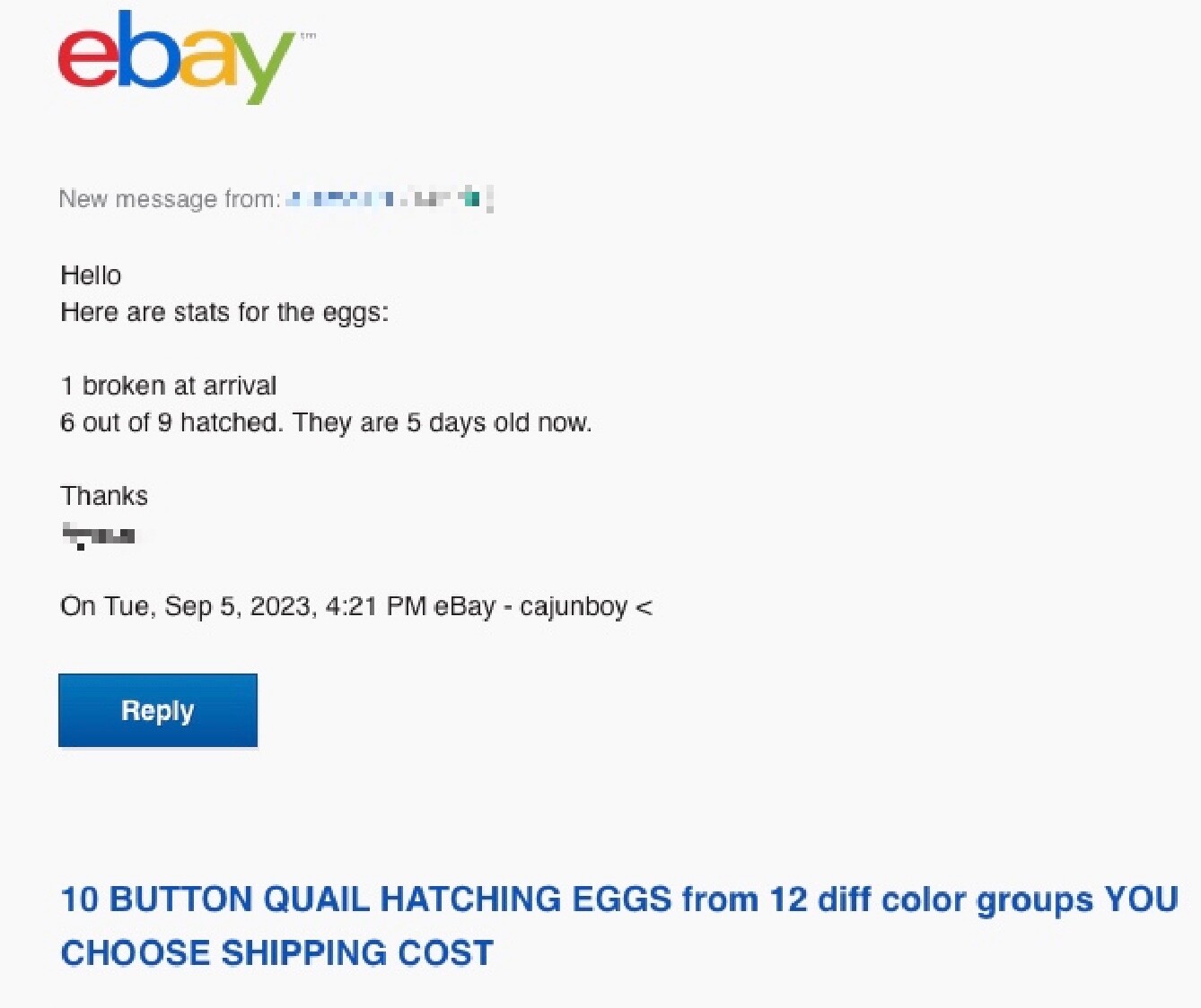 30 BUTTON QUAIL EGGS choose from 12+ colors ships USPS PRIORITY PLEASE READ ALL