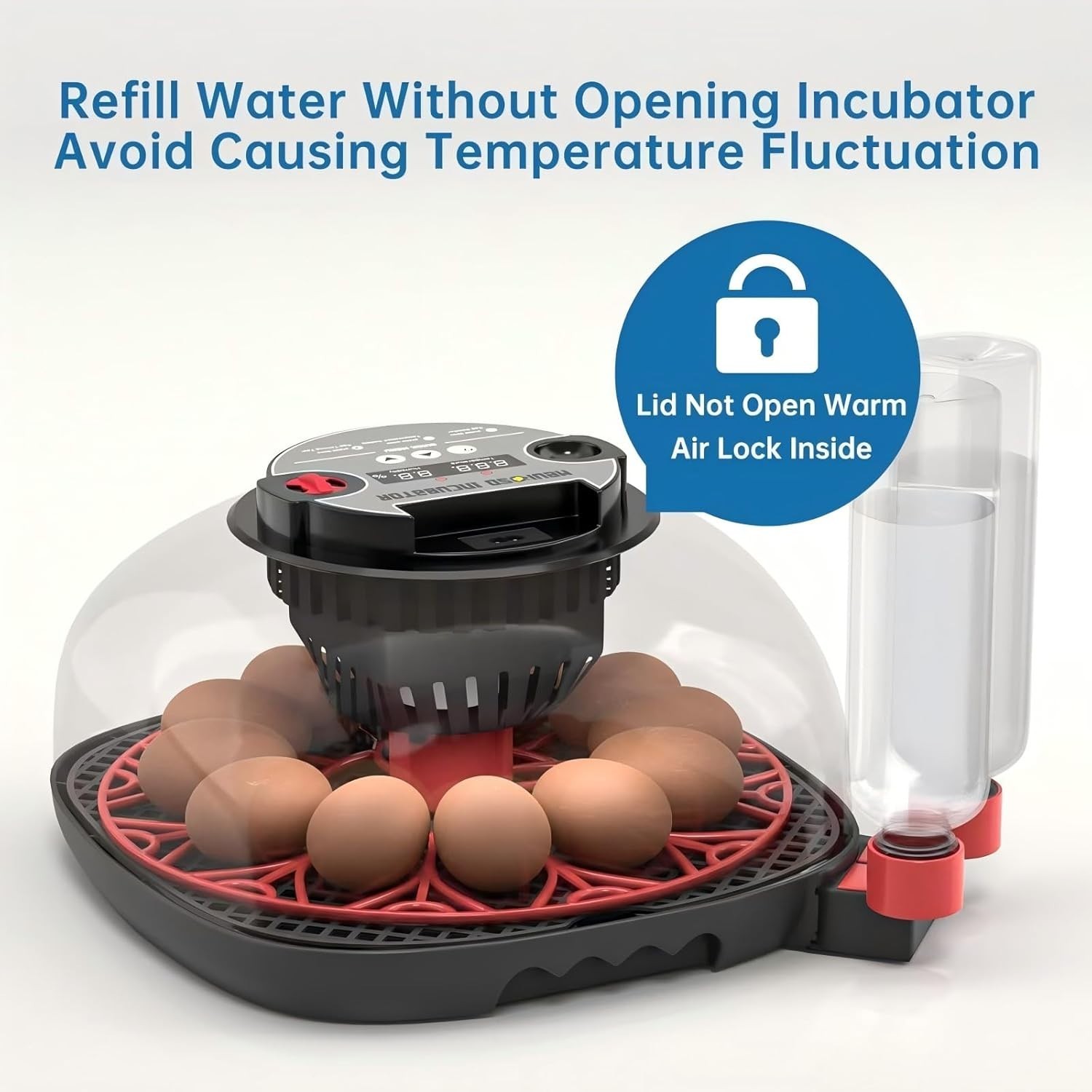 Automatica Incubadora De 12-24 Huevos Encubadora Gallina Pato Egg Incubator USA
