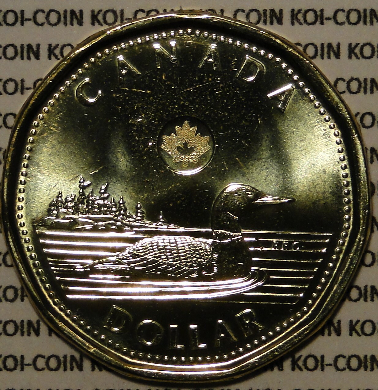 BU UNC Canada 2014 regular loon loonie $1 dollar coin from mint roll