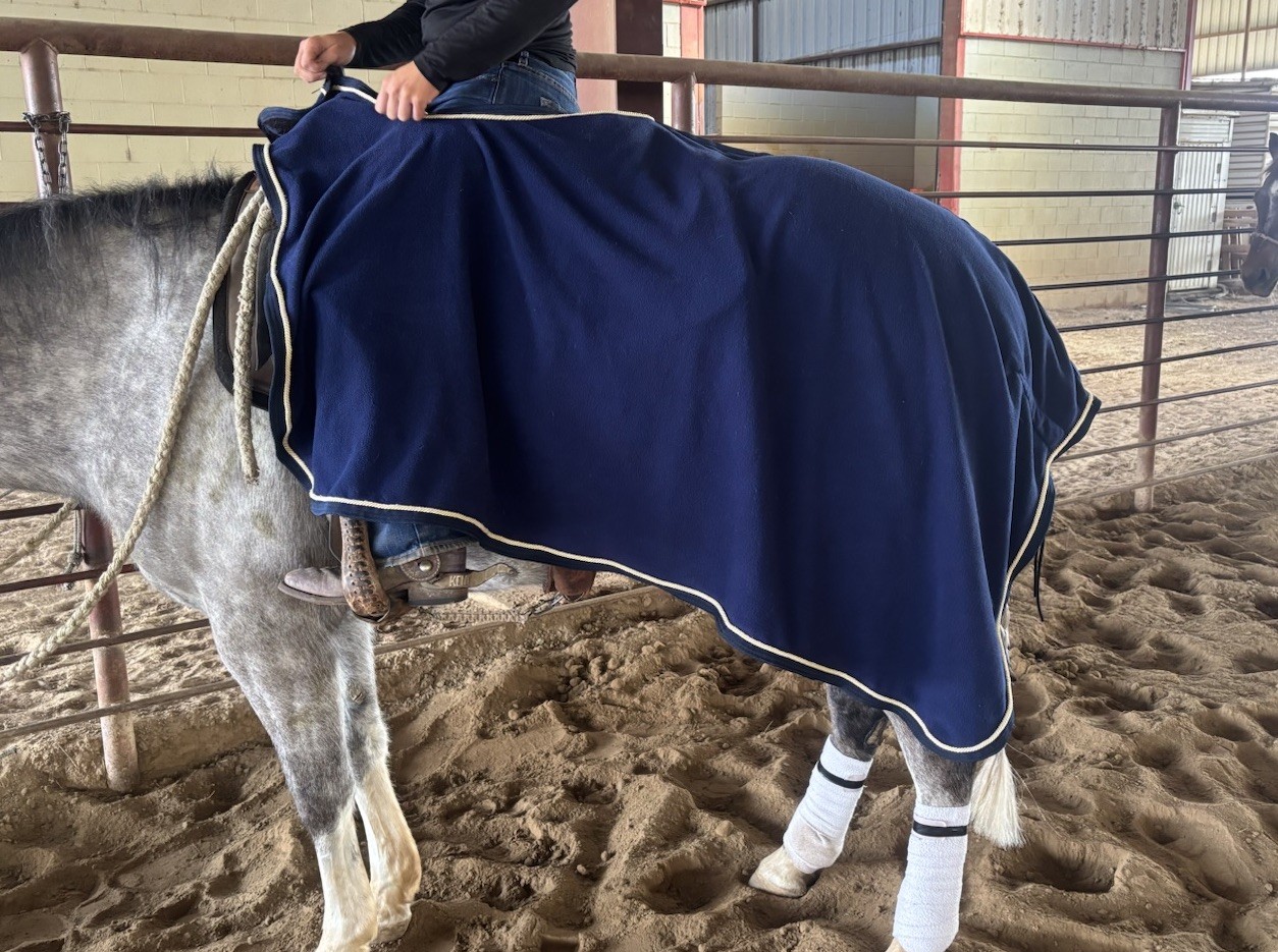 Quarter Cut Horse Fleece Cooler - Navy Blue - Warmup/Cooldown -Dura-Tech Size 61