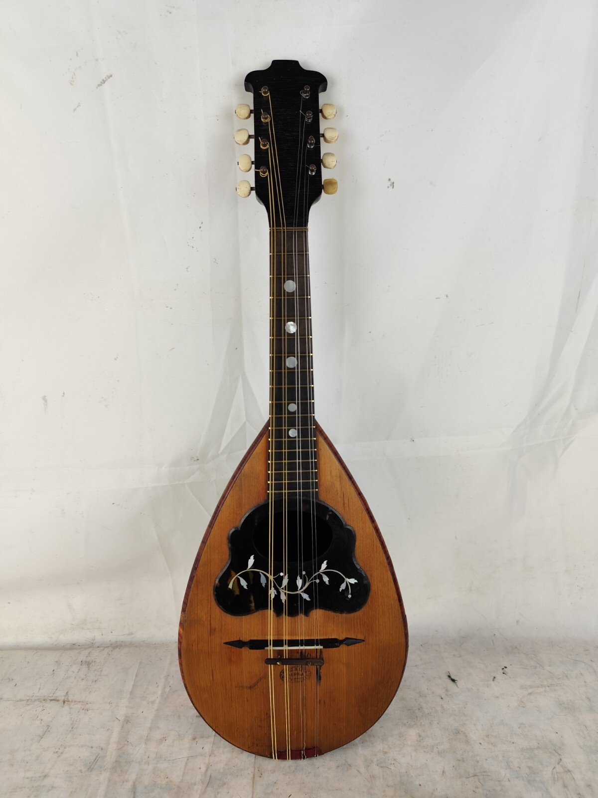 Mandolin 4/4 F. De Mureda 1890 Naples 曼陀林 만돌린マンドリン