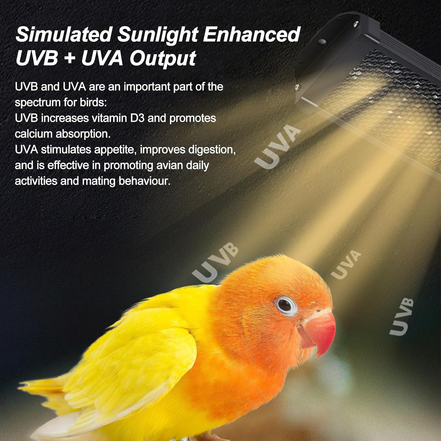 Full Spectrum LED Bird Light with Timer for Parrots - 22" Chew-Proof Design