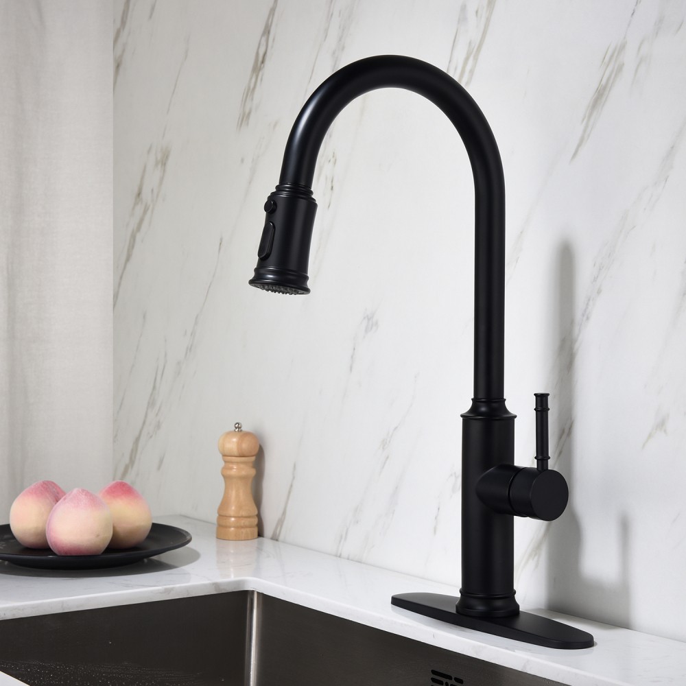 Kitchen Faucet with Pull Out Sprayer Single Handle High Arc Stainless Steel