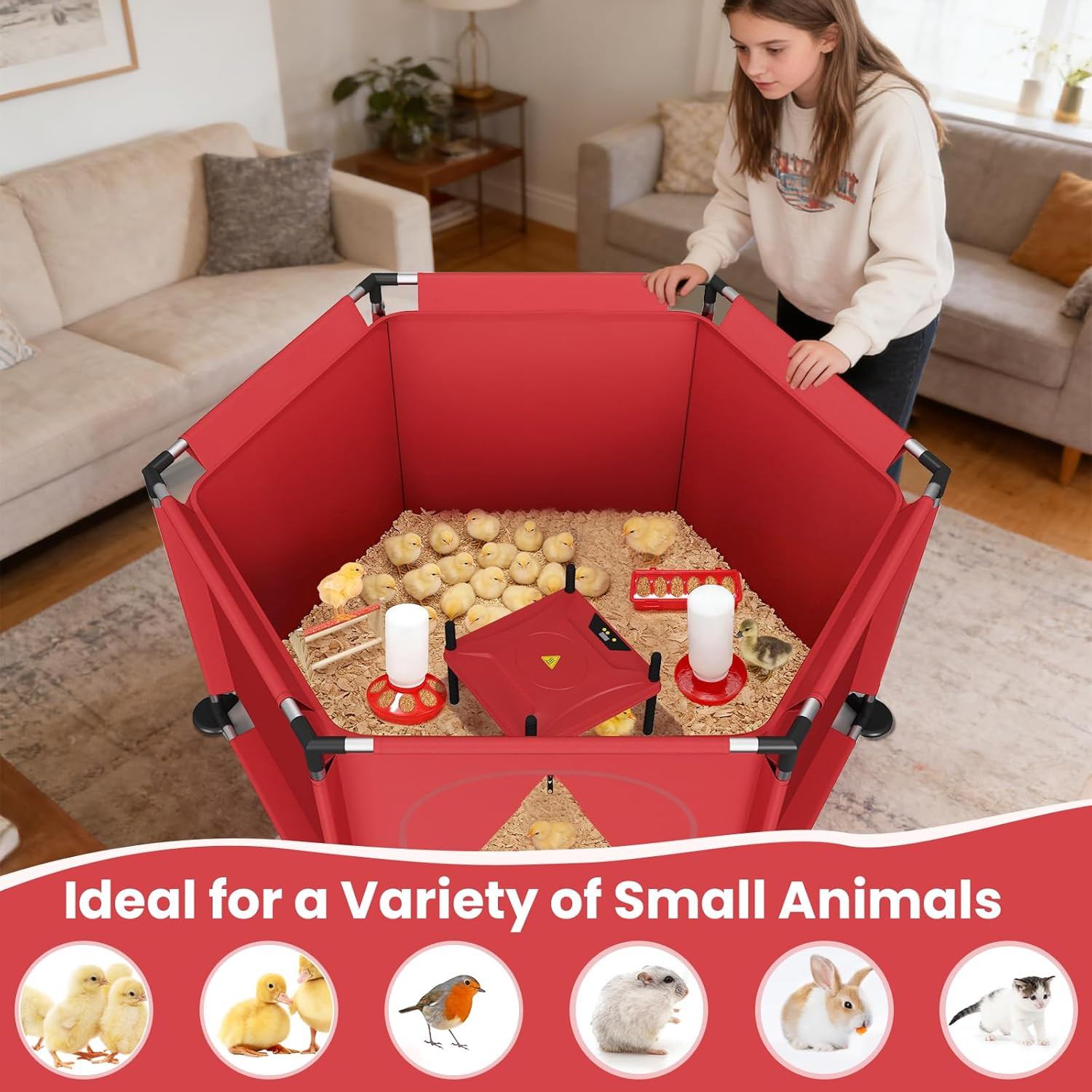 Brooder Box for Chicks, All-In-One Chick Starter Kit, Stainless Steel Frame Baby