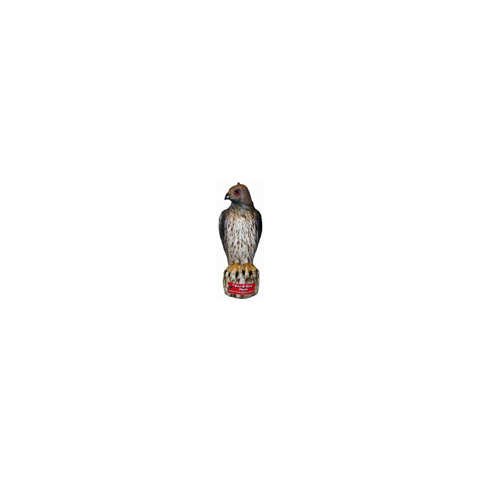 Bird-B-Gone MMRTH1 Hawk Decoy, Heavy Duty Plastic - Quantity 1
