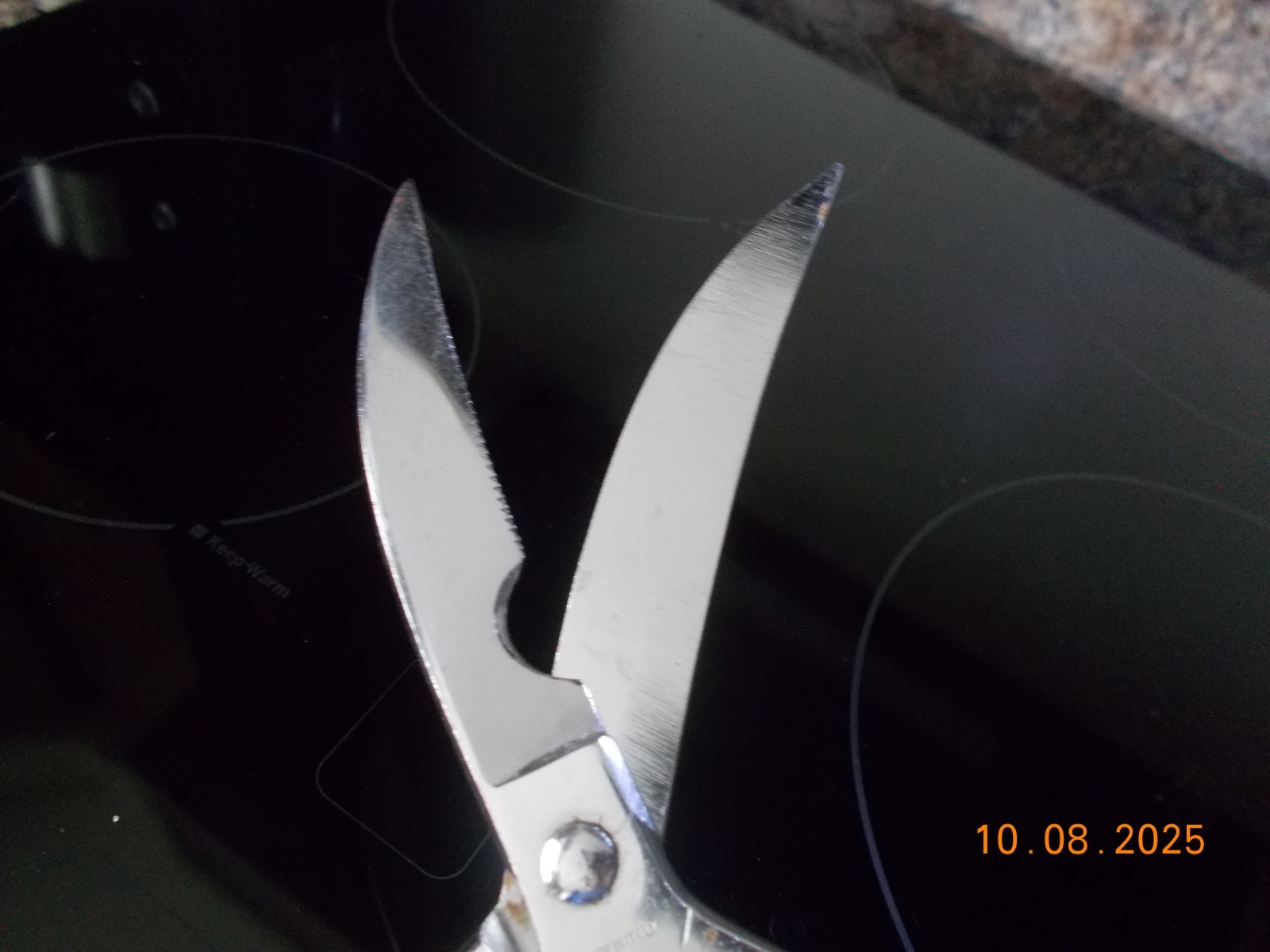 Chrom Poultry shears, Made in Italy