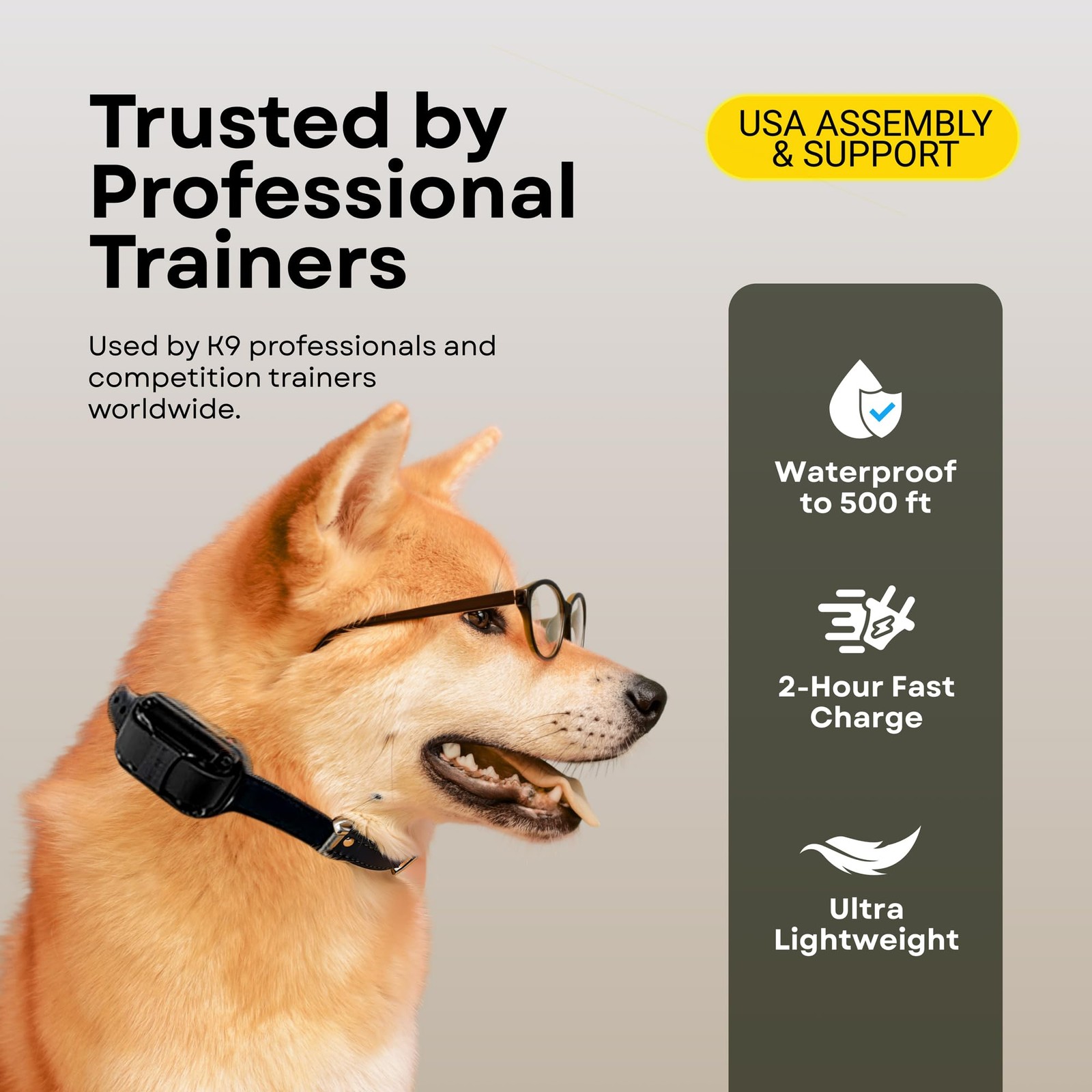 Mini Educator E-Collar ET-300 / ET-302 Dog Training Collar System with Remote -