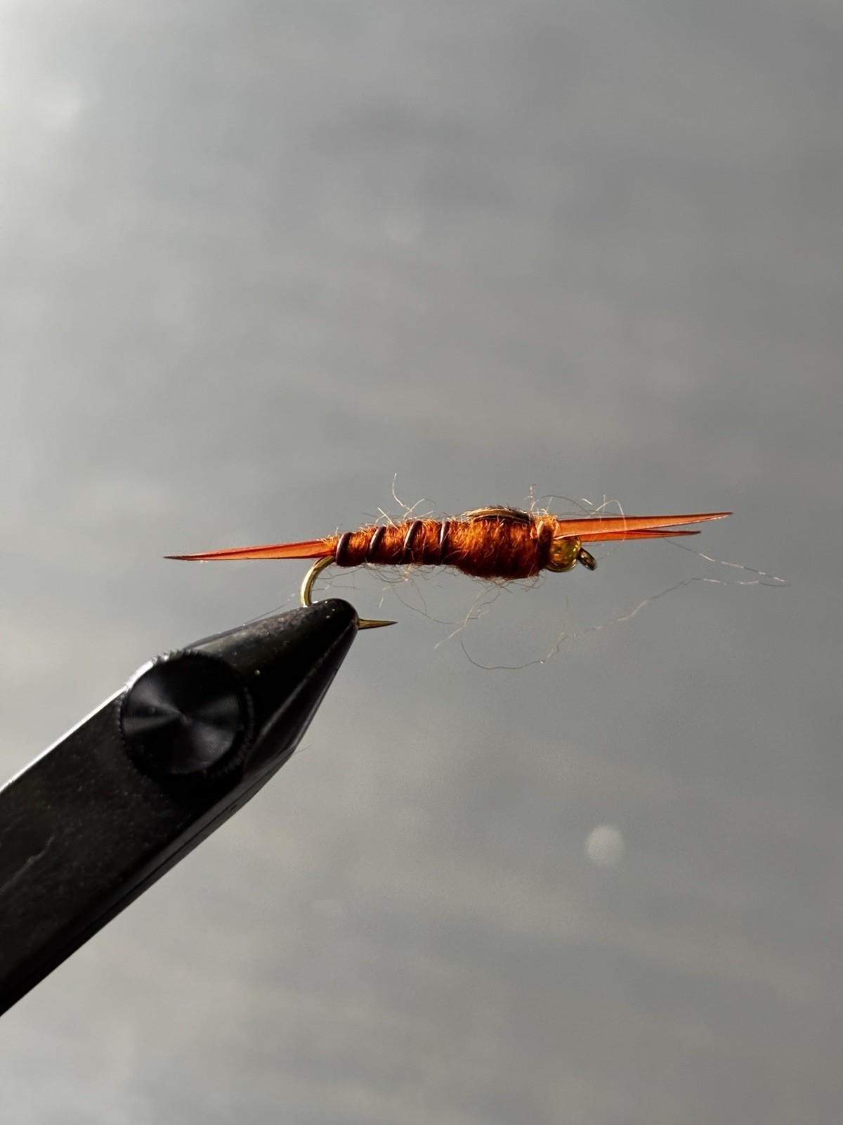 1 Dozen (12) Rusty Stone Fly #12 - Trout Fly Nymph