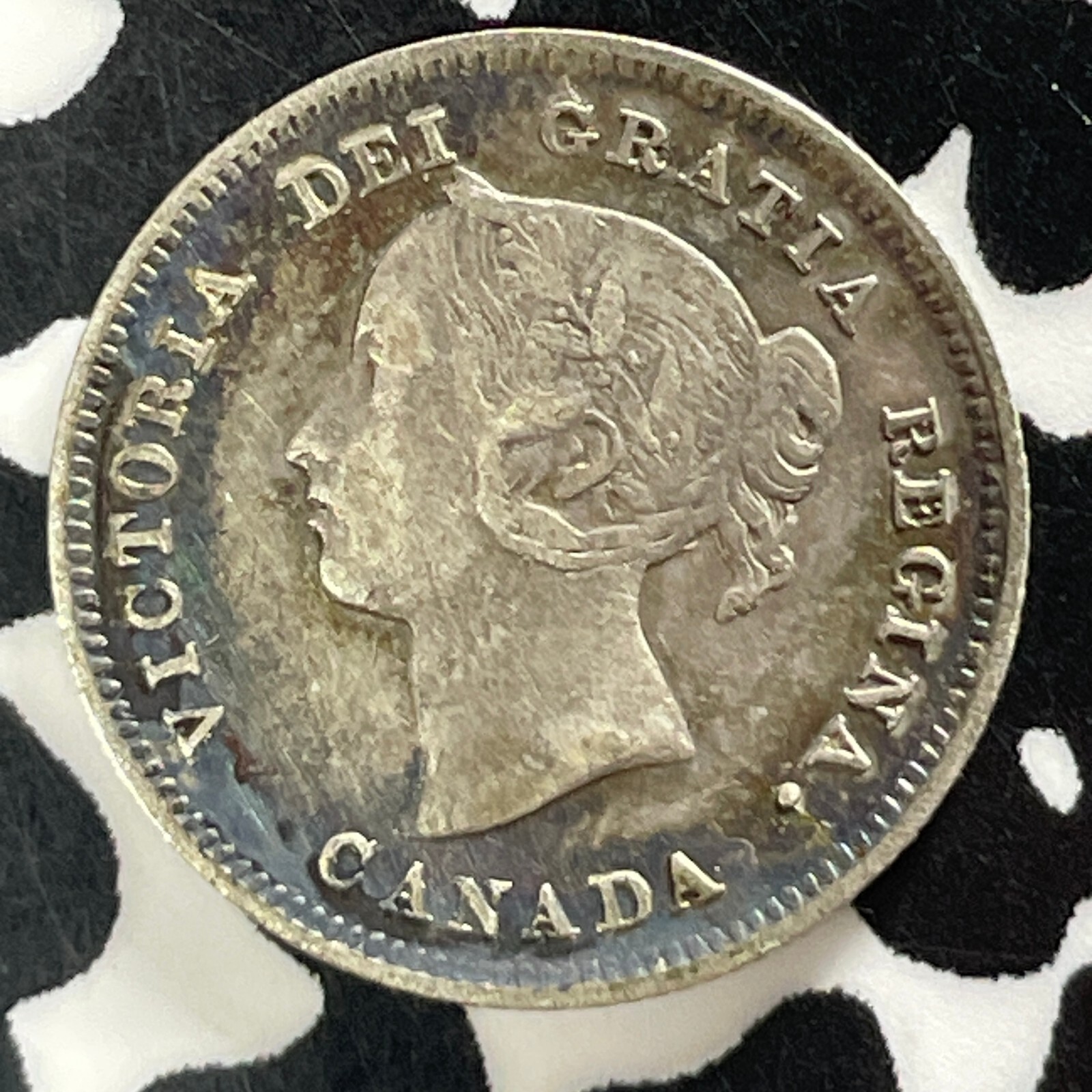 1891 Canada 5 Cents Lot#T4849 Silver! Nice!