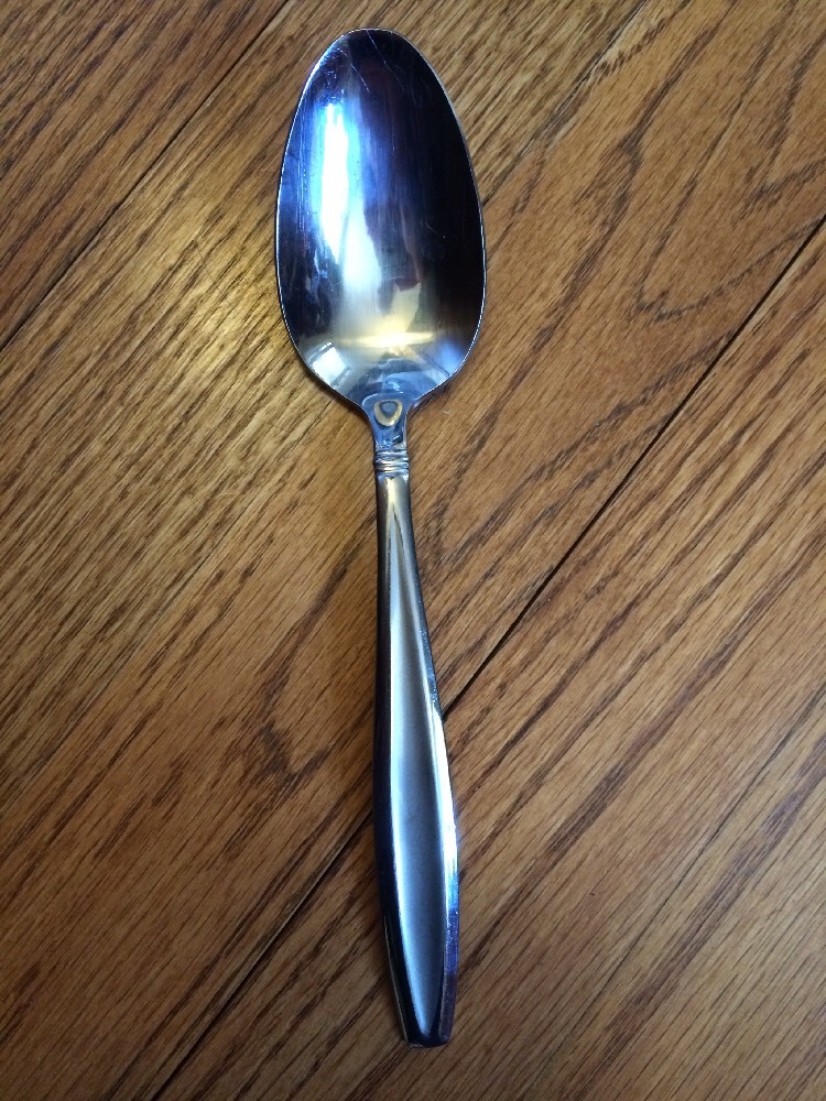 Mikasa Stainless CARSON FROST Satin Center Glossy Outline OVAL SOUP SPOON 7 5/8"