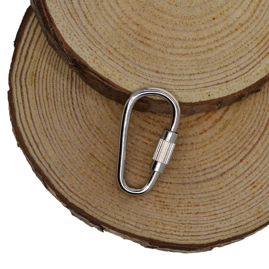 10pcs Steel Screw Lock Carabiner Hook Keychain Camping