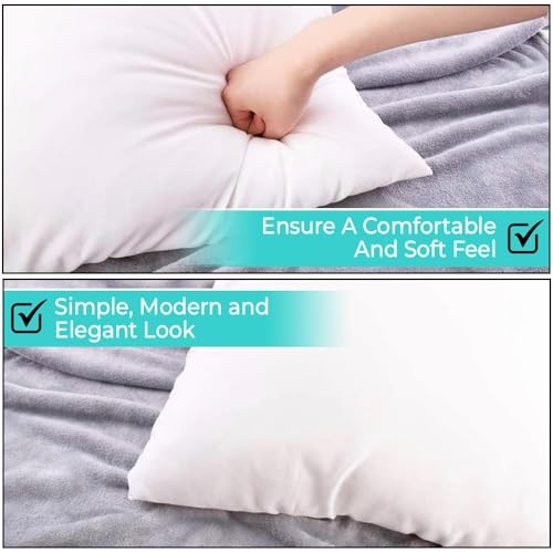 18 x 18 Throw Pillow Insert - Pack of 2 White, Down 18x18 Inch (Pack of 2)
