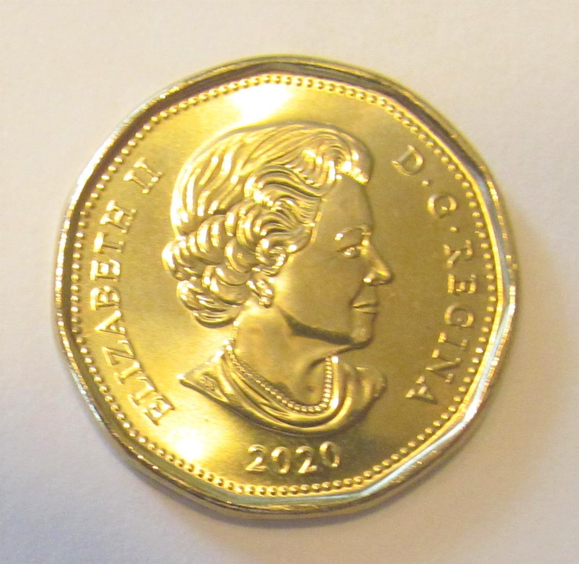 2020 CANADA 1 DOLLAR LOONIE - combined shipping