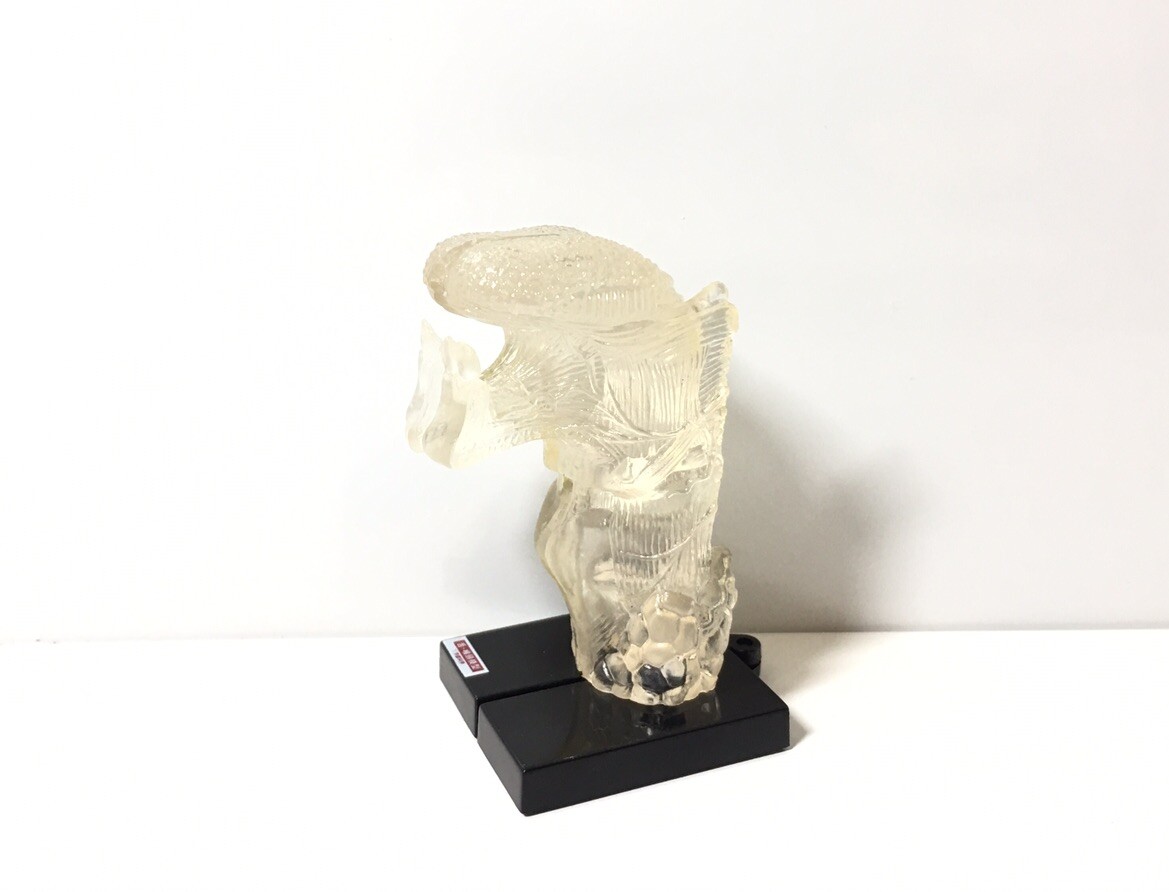 Yujin Kaiyodo Human Anatomy Atlas Mini Tongue & Throat Larynx Model Figure