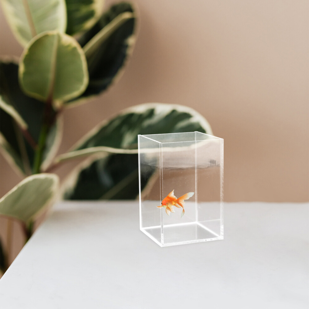 Multi-function Fish Desktop Aquarium Clear Betta Fish Supply