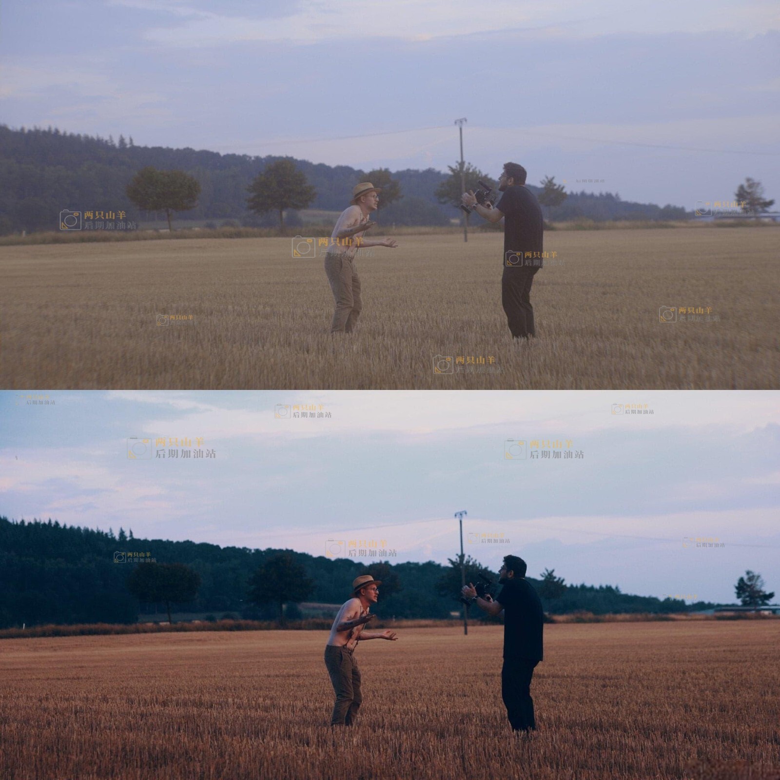 Canon R5 / R6 Cinematic LUTs