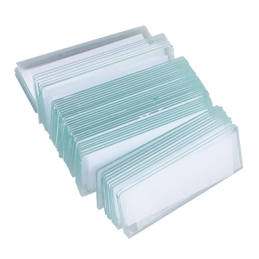 50 Slides Prepared Microscope for Basic Biological Science Education