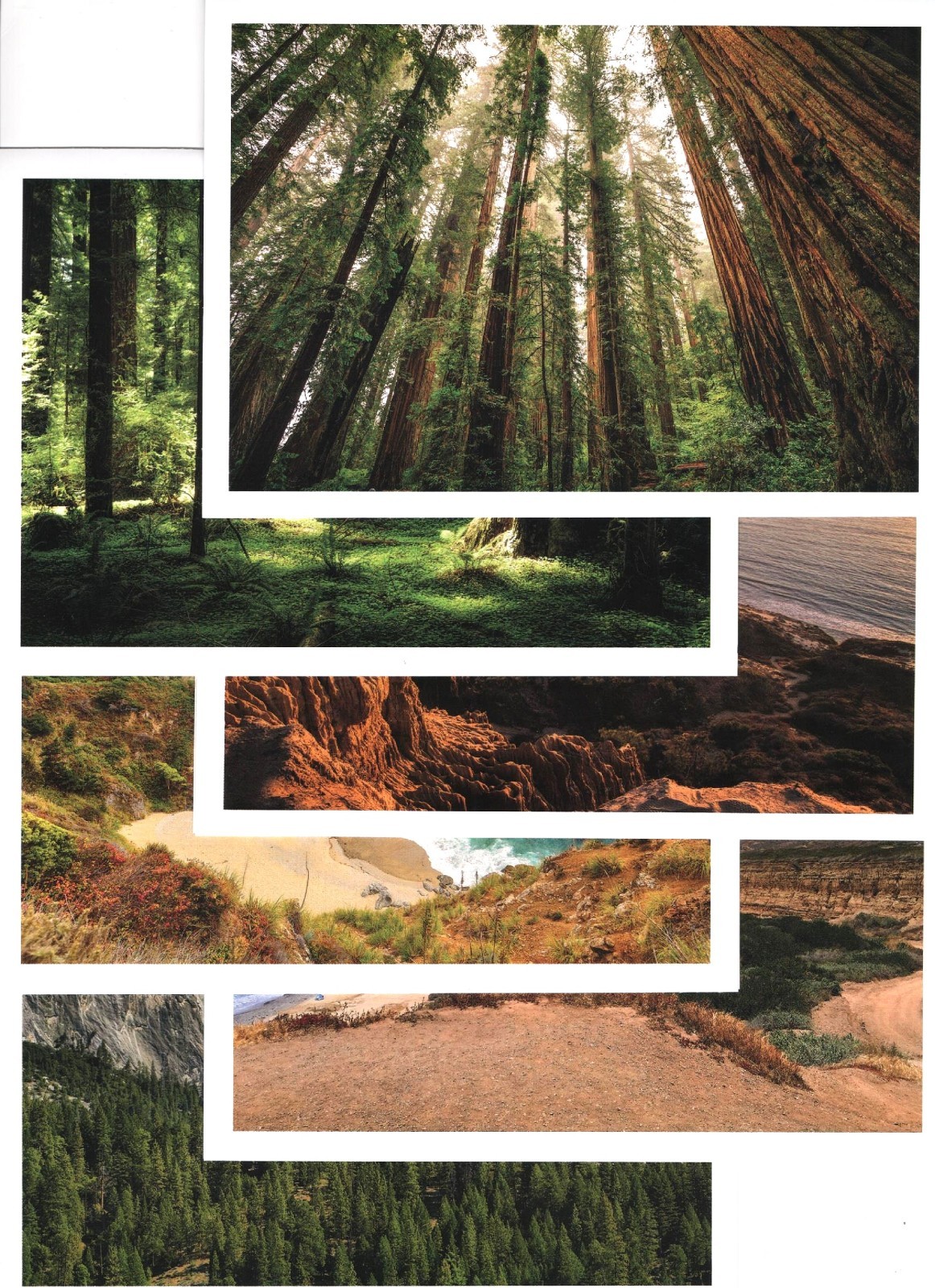 NEW, SET OF 11 California State Parks BLANK NOTE CARDS & ENVELOPES