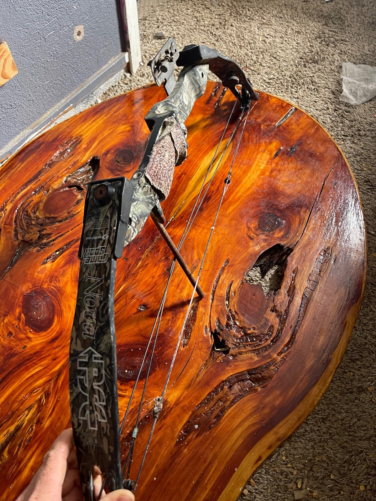 Vintage PSE Nova Compound Bow, Right hand, Mossy Oak Camo
