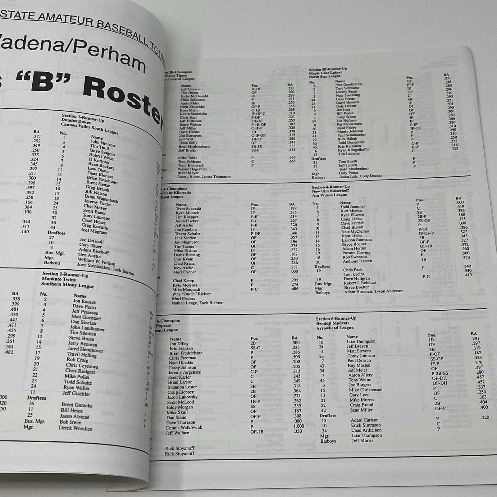 1995 Minnesota State Amateur Baseball Tournament Program Roster Bracket