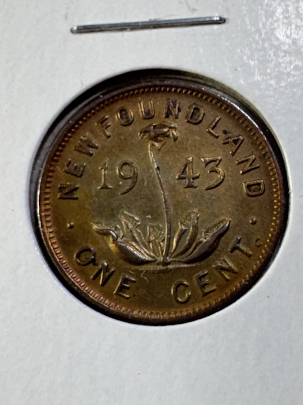1943-C Newfoundland Small Cent