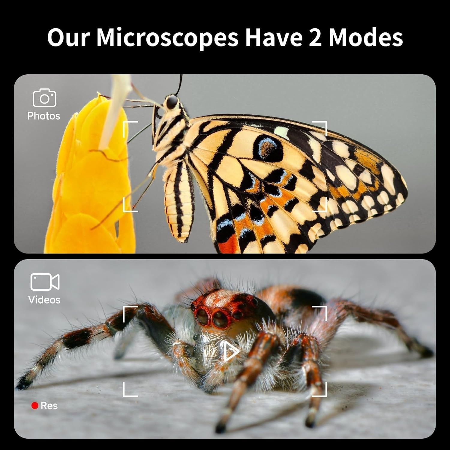 4'' IPS Handheld Pocket Digital Microscope with 100-1600X Screen, 1080P HD Po...