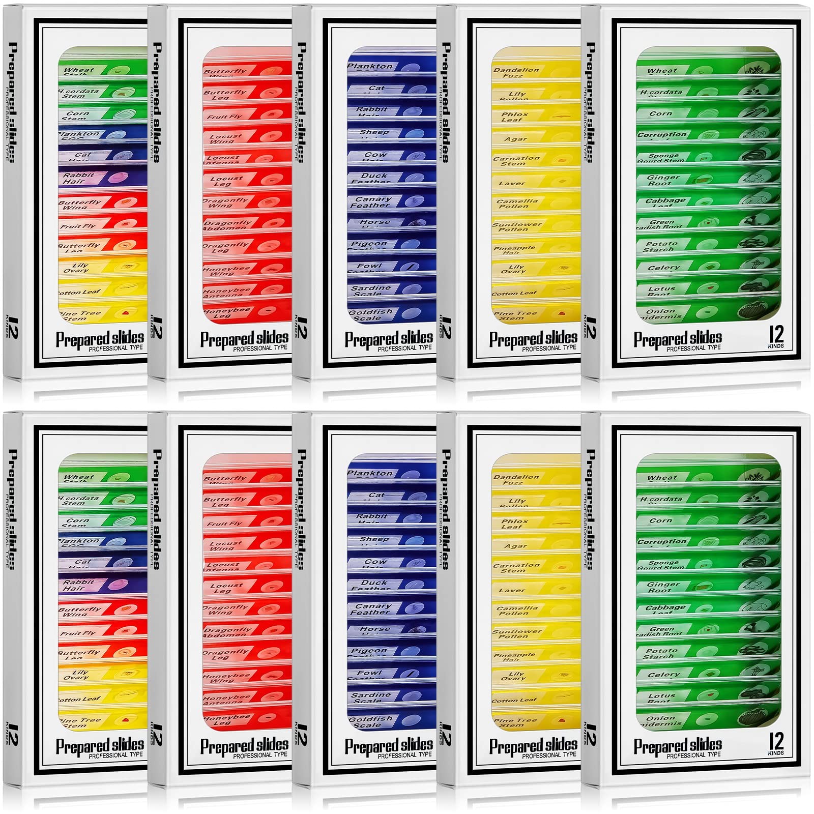 120 Pcs Prepared Microscope Slides, 48 Different Patterns Animals Plants Inse...