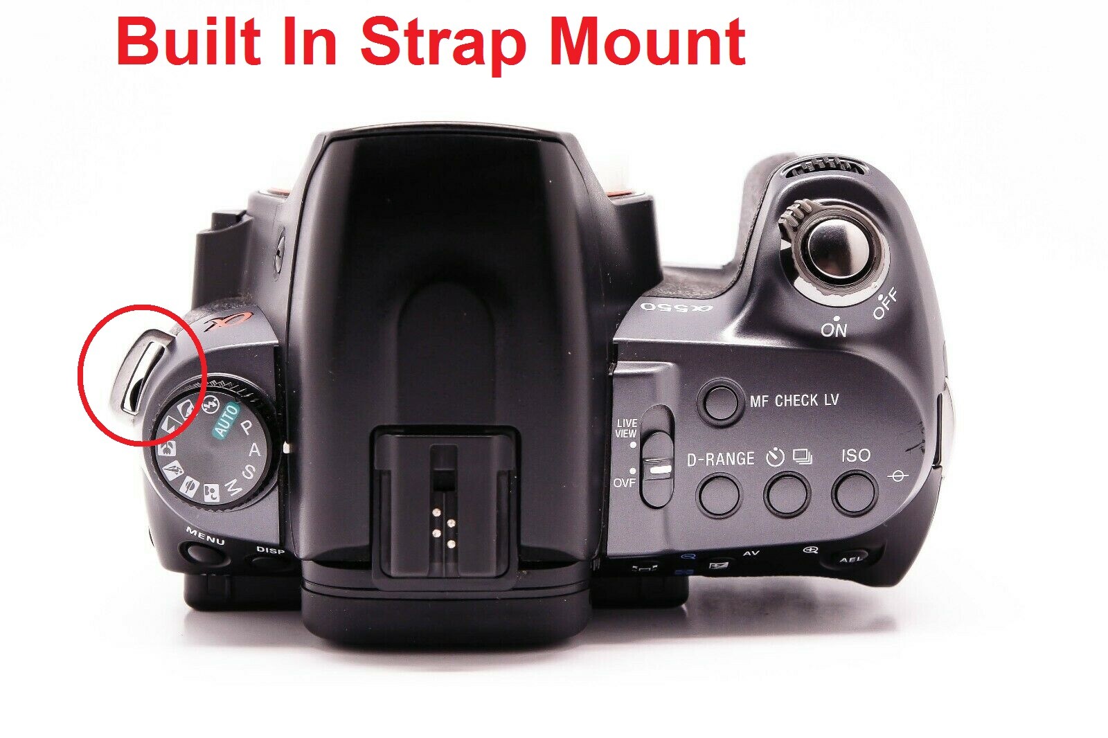 NEW Sony 1 1/4" Camera Neck Strap For Mirrorless E Mount / Alpha A Mount DSLR