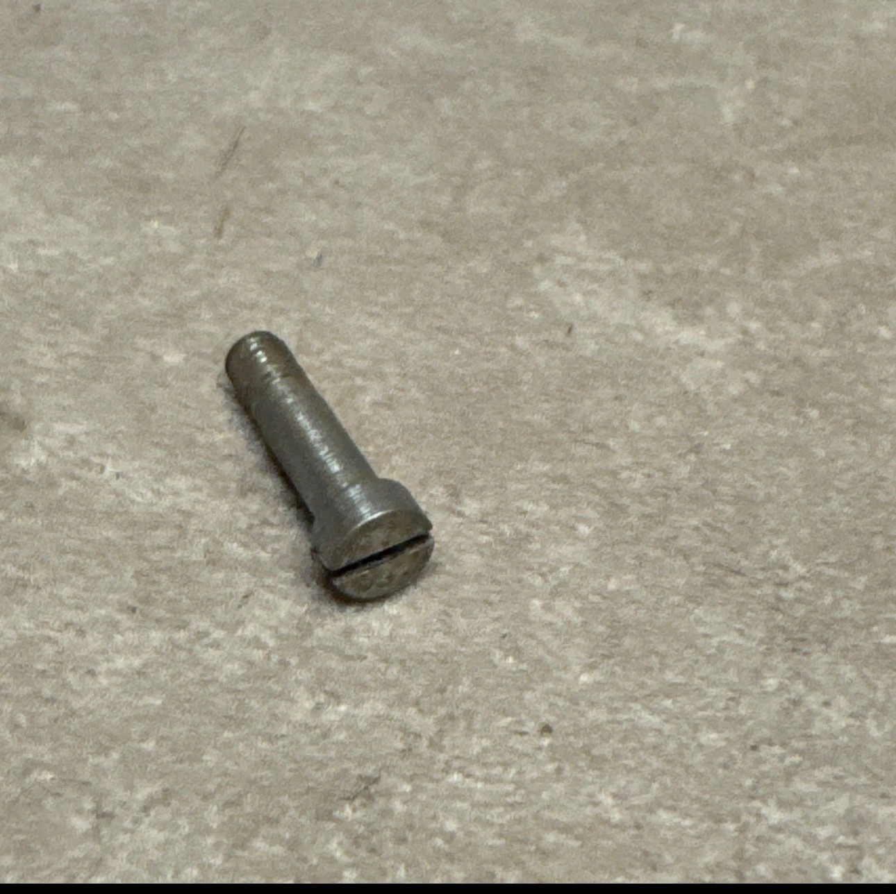 Small Siler Sear Screw