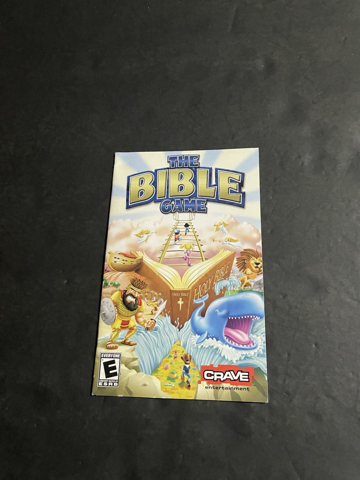 bible game ps2 Manual Only