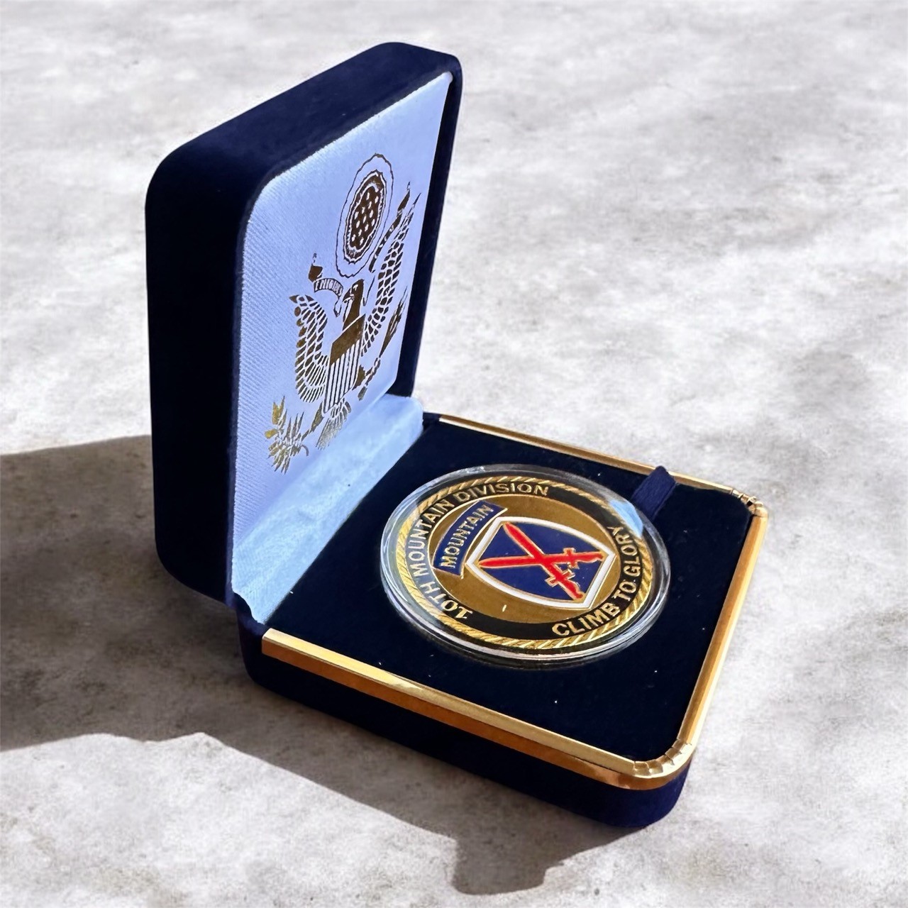 US ARMY 10th MOUNTAIN DIVISION Challenge Coin in Blue Velvet Case ·FAST SHIPPING