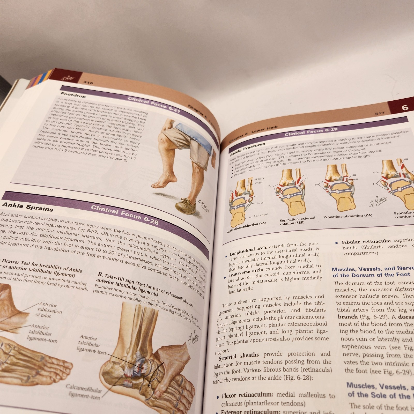 Netter's Clinical Anatomy 3rd Edition with Online Access Basic Science Book