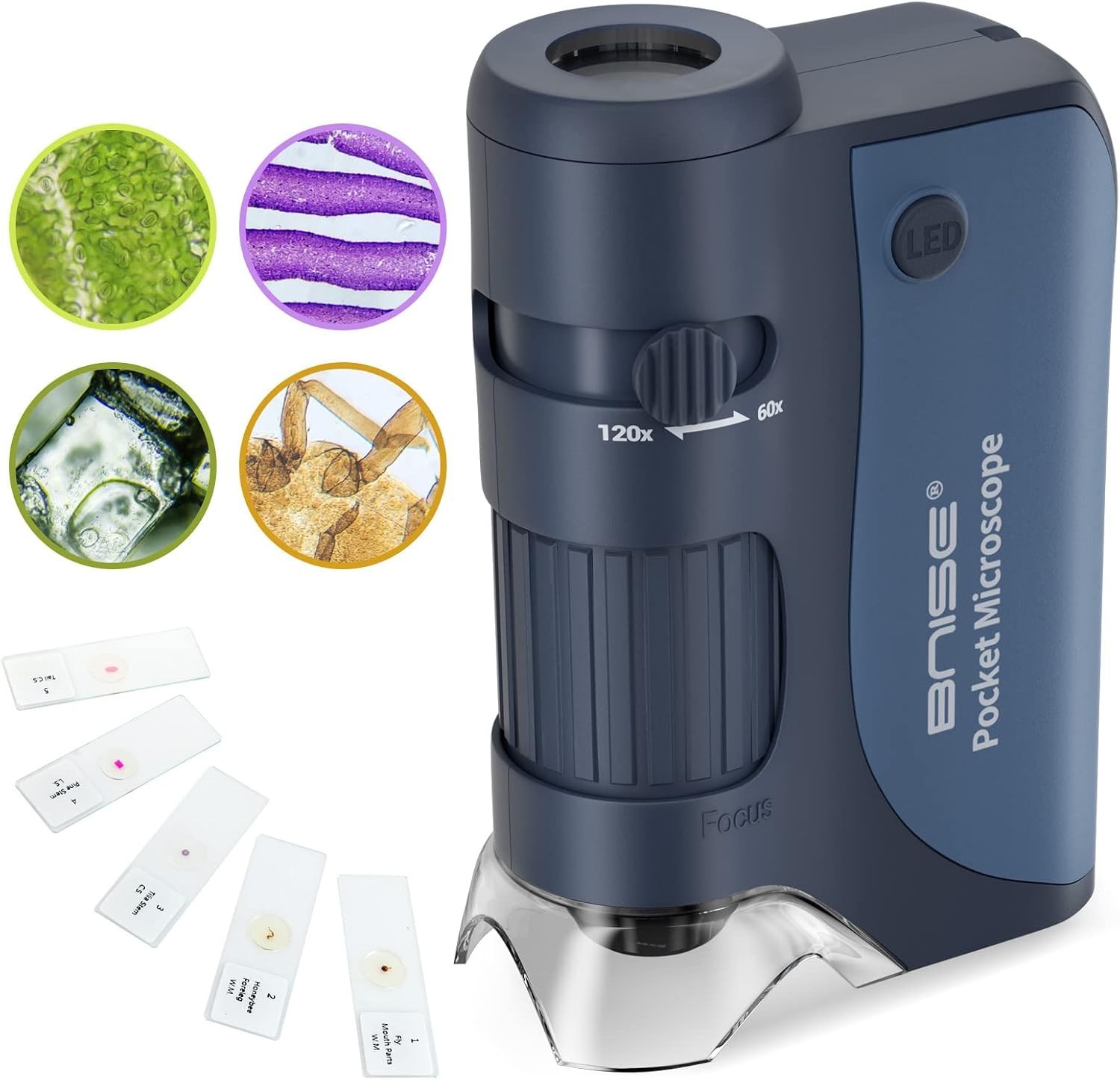 Kids' Pocket Microscope Set with LED Light & Specimen Slides