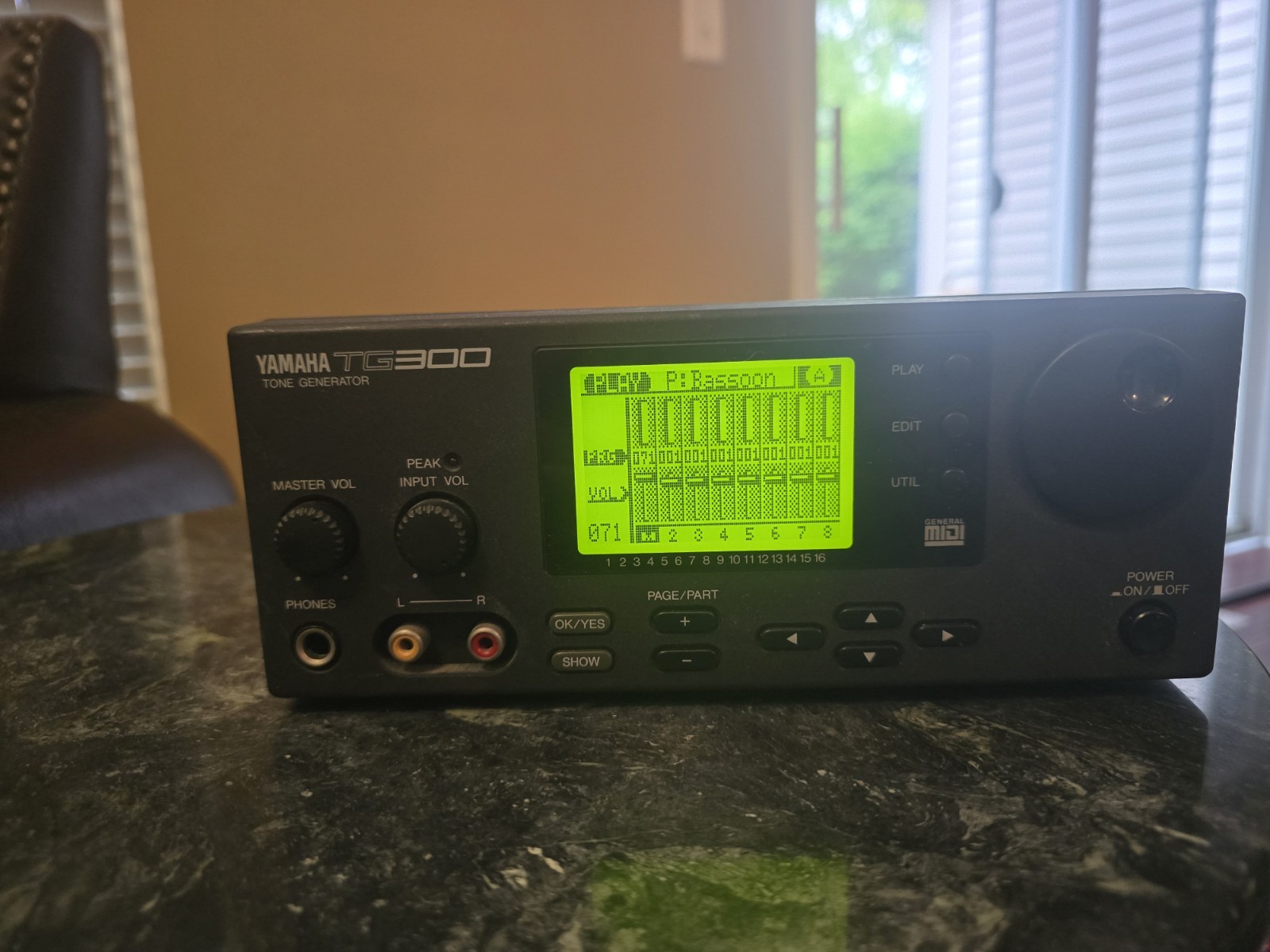 Yamaha TG300