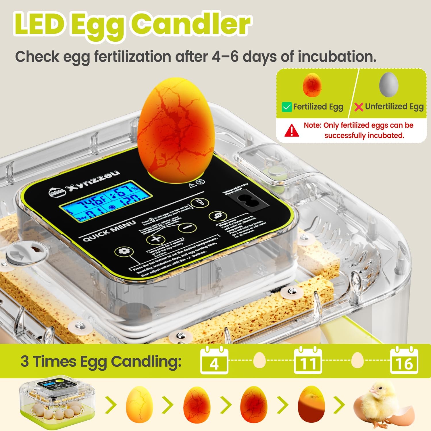 Egg Incubators for Hatching Eggs, 12 Egg Incubator with Automatic Egg Turning...