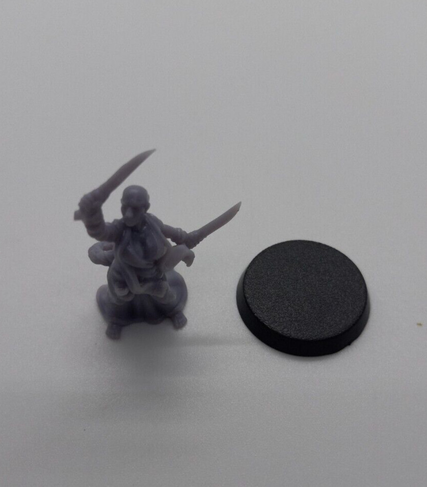 Dungeons & Dragons Female Augur or Monk 3D Printed Resin Model Fantasy Roleplay