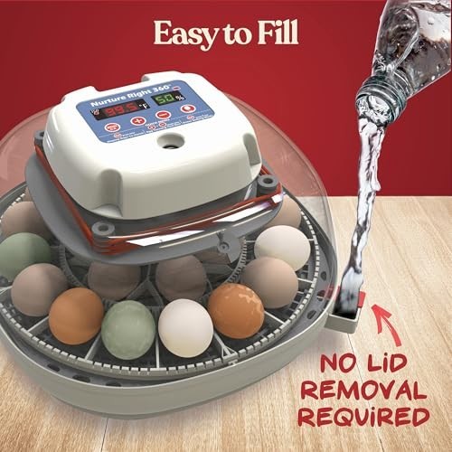 Egg Incubator 22 Capacity Automatic Turner Temperature Humidity Control Clear