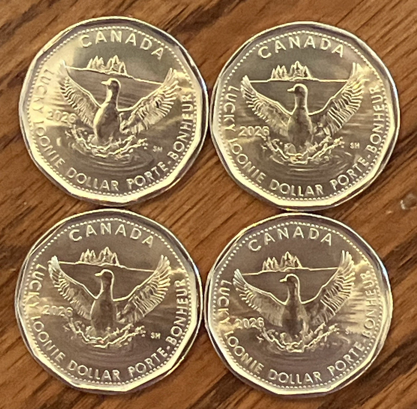 SHIPS TODAY! 4X 2026 Canada LUCKY LOONIE $1 dollar coin *75% off comb. shipping*