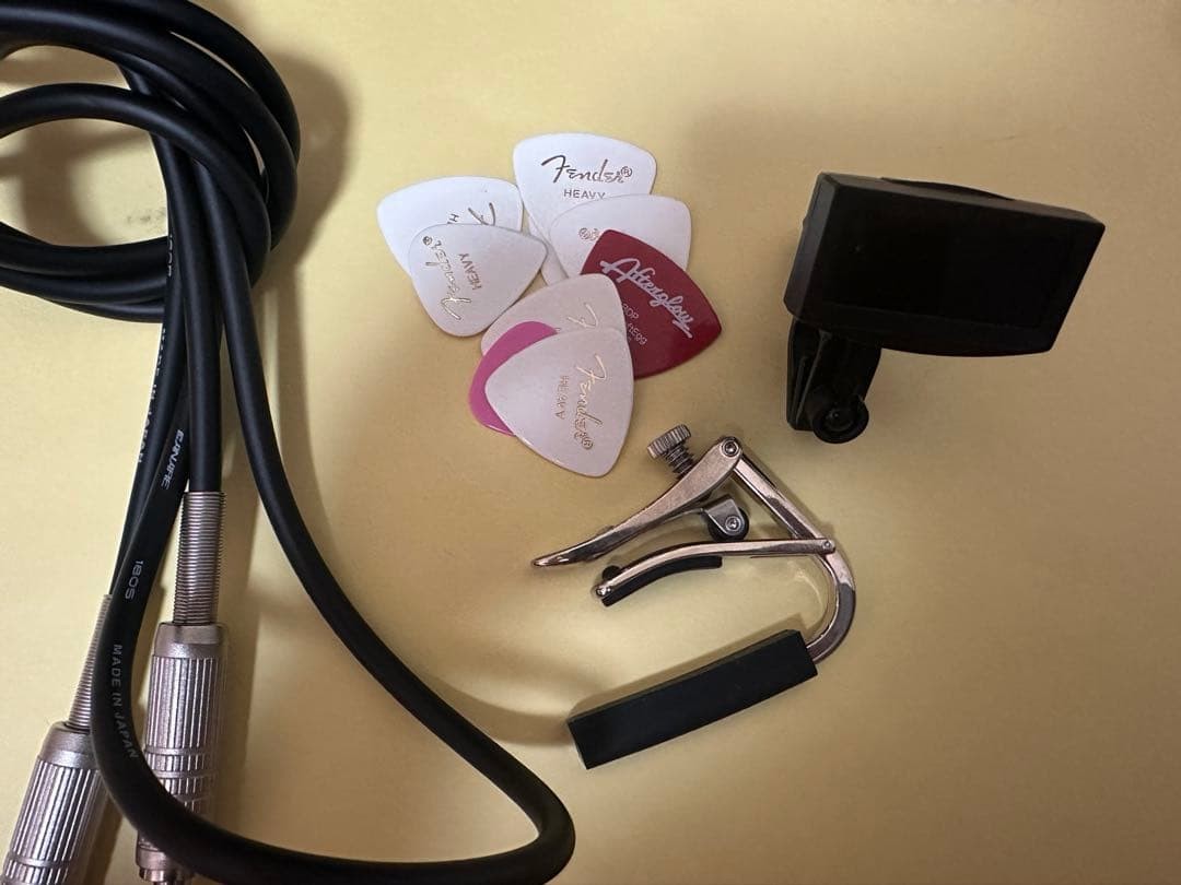 Fender Electric Guitar Body Set