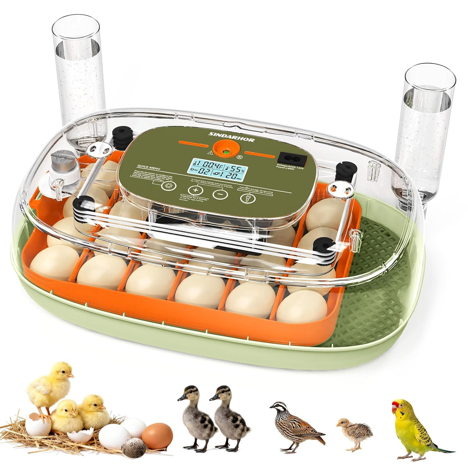 Egg Incubator for 24 Chicken Eggs with Automatic Turner, Digital Temperature Con