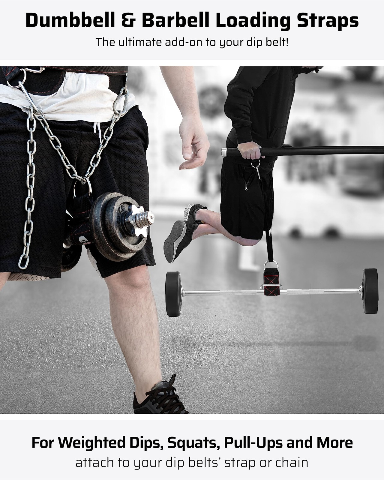Dumbbell & Barbell Loading Straps | Attachment Straps for Dips, Pullups, Squa...
