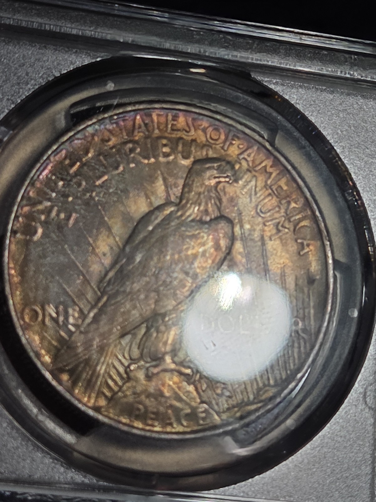 1924 $1 Peace Dollar PCGS MS64 Toned