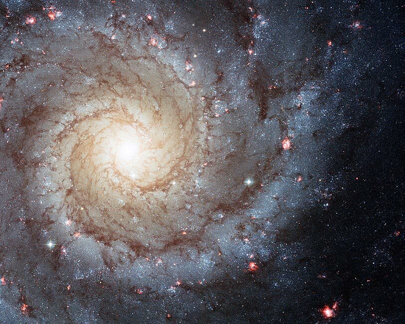 GRAND DESIGN SPIRAL GALAXY HUBBLE SPACE TELESCOPE 8x10 GLOSSY PHOTO PRINT